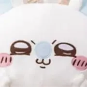 タサキの画像