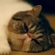 のすけmama
