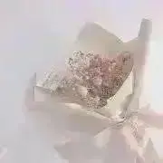 きらぽむ