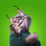 Dの画像