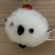 yの画像