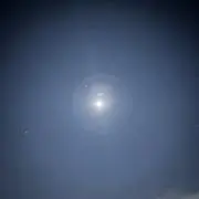 じゃぱにーず