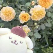 らんせの画像