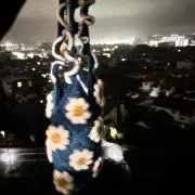 miliの画像