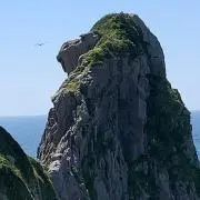 大網のテルの画像