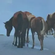 !!!