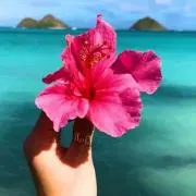 naーの画像
