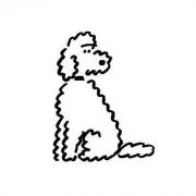 ココアの画像