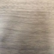 おぽんの画像