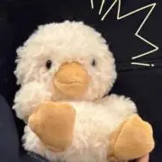 FUMENGの画像