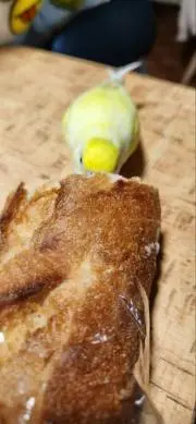 そらの画像