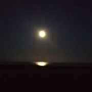 TNKの画像