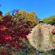 よんよんの画像