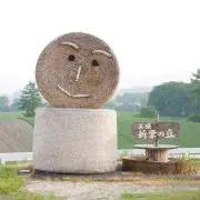 pipileoの画像