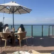 さくなの画像