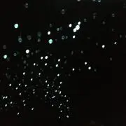 jellyの画像