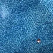 おみちの画像