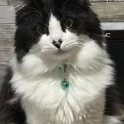 Aぱん