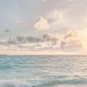 Sの画像