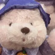 もとしの画像