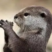 ぽ