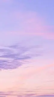 yo-yoの画像