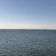 ストライカーの画像