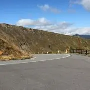 にょろの画像