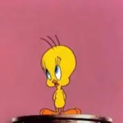 ちょんの画像