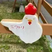 °.たぬきち.°