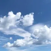 Aくんの画像
