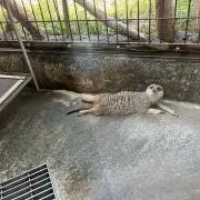 田中