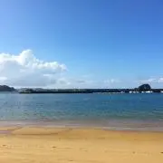 うに