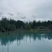 Shunの画像