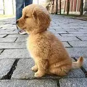 るるか　断捨離中❣️の画像