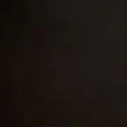 aaa