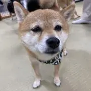 @A