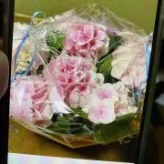 まゆの画像
