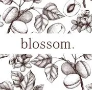 blossom.の画像