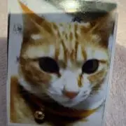 みゆの画像