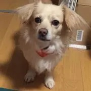 かんちゃん