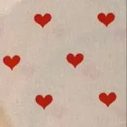 Rの画像