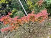ひろ
