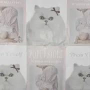kの画像