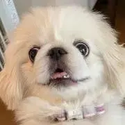 ブラマヨ