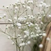 pilina…✿