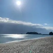 ただいま暴走中 断捨離中の画像