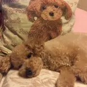 もな