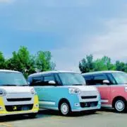 マルチカラーの画像