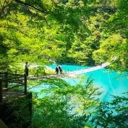 kotaの画像